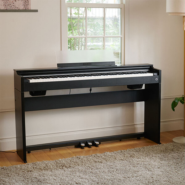 Music City – Tổng Kho Piano, Guitar, Organ | Dịch Vụ Giáo Dục Âm Nhạc