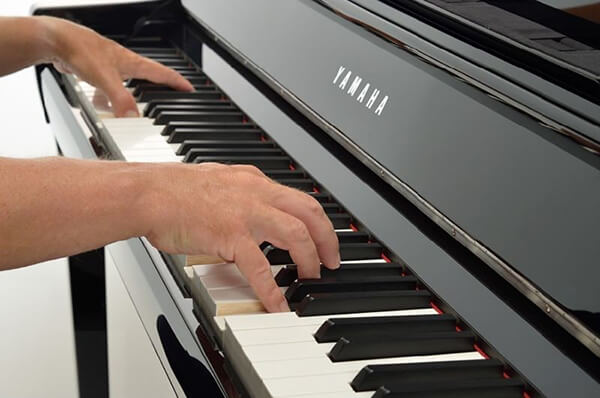 Music City – Tổng Kho Piano, Guitar, Organ | Dịch Vụ Giáo Dục Âm Nhạc