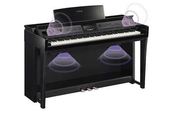 Music City – Tổng Kho Piano, Guitar, Organ | Dịch Vụ Giáo Dục Âm Nhạc