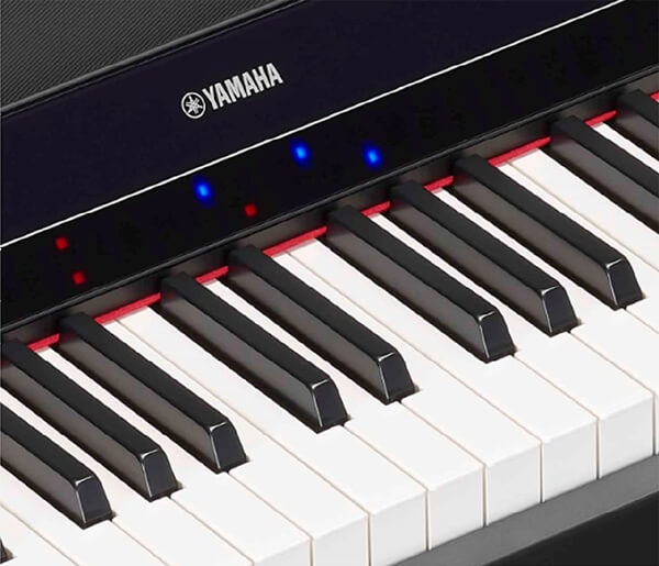 Music City – Tổng Kho Piano, Guitar, Organ | Dịch Vụ Giáo Dục Âm Nhạc