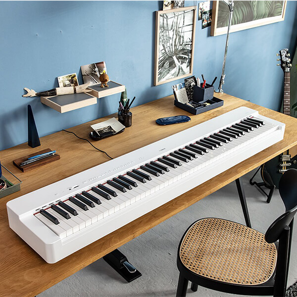 Music City – Tổng Kho Piano, Guitar, Organ | Dịch Vụ Giáo Dục Âm Nhạc