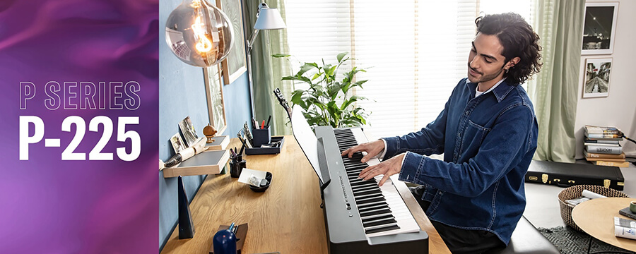 Music City – Tổng Kho Piano, Guitar, Organ | Dịch Vụ Giáo Dục Âm Nhạc