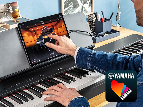 Music City – Tổng Kho Piano, Guitar, Organ | Dịch Vụ Giáo Dục Âm Nhạc