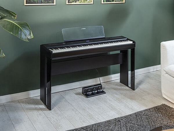 Music City – Tổng Kho Piano, Guitar, Organ | Dịch Vụ Giáo Dục Âm Nhạc