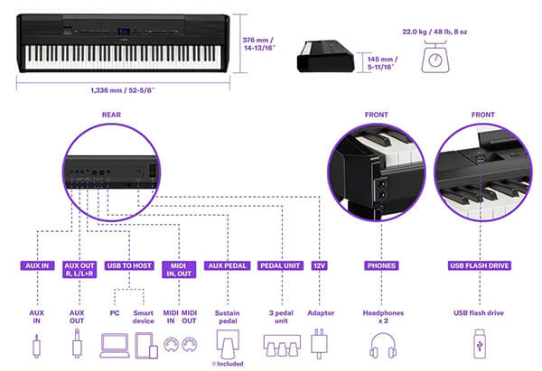 Music City – Tổng Kho Piano, Guitar, Organ | Dịch Vụ Giáo Dục Âm Nhạc