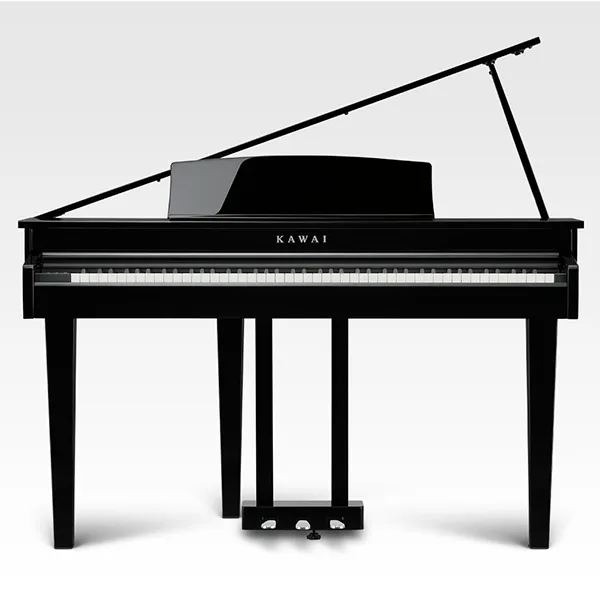 Music City – Tổng Kho Piano, Guitar, Organ | Dịch Vụ Giáo Dục Âm Nhạc