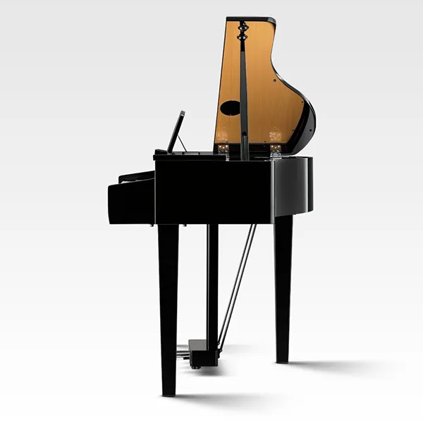 Music City – Tổng Kho Piano, Guitar, Organ | Dịch Vụ Giáo Dục Âm Nhạc