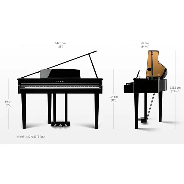 Music City – Tổng Kho Piano, Guitar, Organ | Dịch Vụ Giáo Dục Âm Nhạc