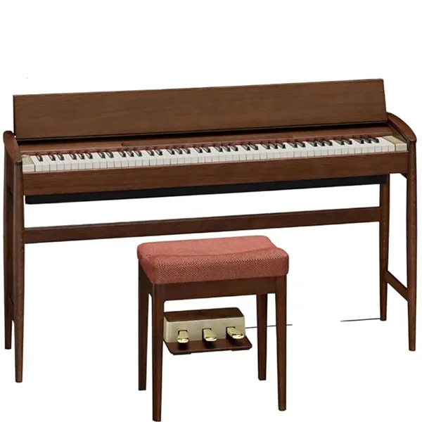 Music City – Tổng Kho Piano, Guitar, Organ | Dịch Vụ Giáo Dục Âm Nhạc