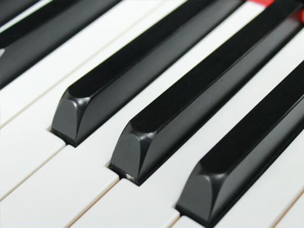 Music City – Tổng Kho Piano, Guitar, Organ | Dịch Vụ Giáo Dục Âm Nhạc