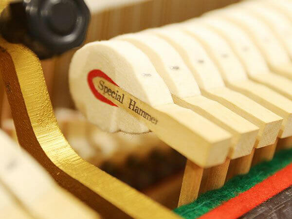 Music City – Tổng Kho Piano, Guitar, Organ | Dịch Vụ Giáo Dục Âm Nhạc