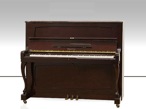 Music City – Tổng Kho Piano, Guitar, Organ | Dịch Vụ Giáo Dục Âm Nhạc