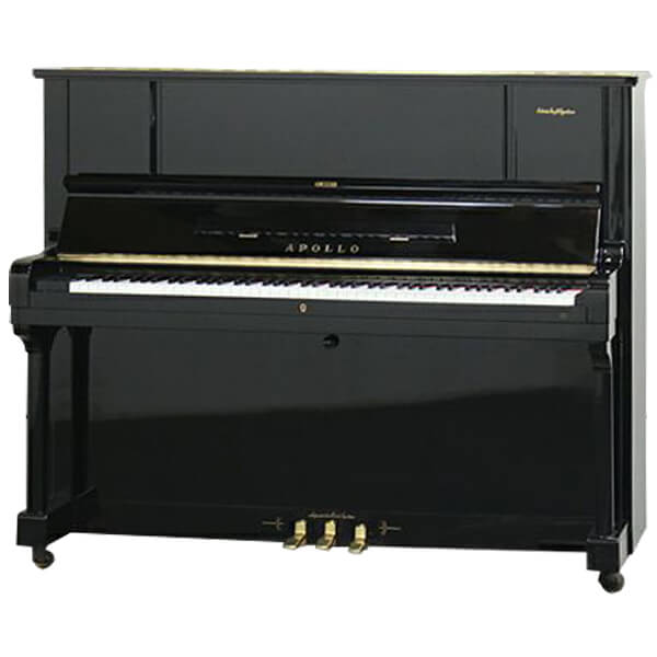 Music City – Tổng Kho Piano, Guitar, Organ | Dịch Vụ Giáo Dục Âm Nhạc