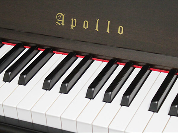 Music City – Tổng Kho Piano, Guitar, Organ | Dịch Vụ Giáo Dục Âm Nhạc