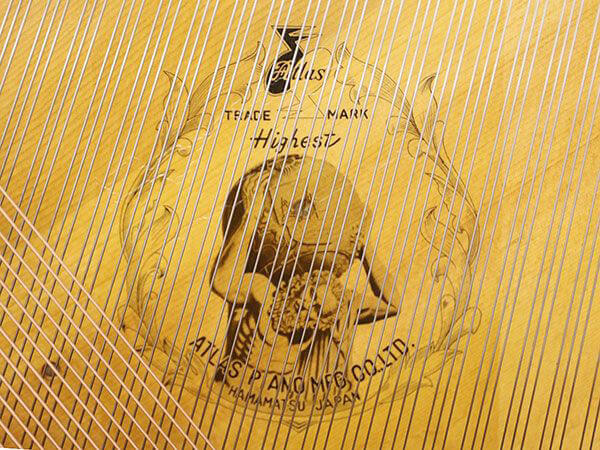 Music City – Tổng Kho Piano, Guitar, Organ | Dịch Vụ Giáo Dục Âm Nhạc