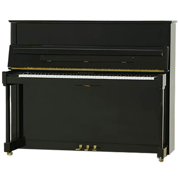 Music City – Tổng Kho Piano, Guitar, Organ | Dịch Vụ Giáo Dục Âm Nhạc