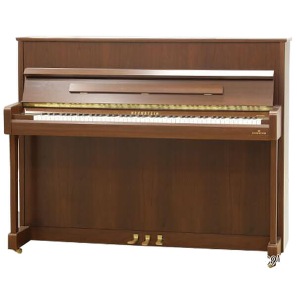 Music City – Tổng Kho Piano, Guitar, Organ | Dịch Vụ Giáo Dục Âm Nhạc
