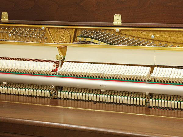 Music City – Tổng Kho Piano, Guitar, Organ | Dịch Vụ Giáo Dục Âm Nhạc