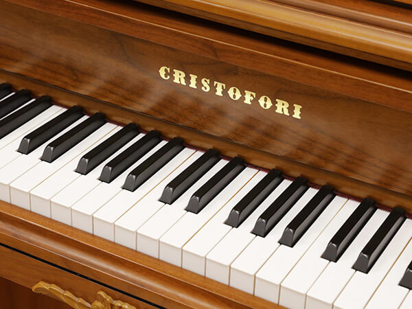 Music City – Tổng Kho Piano, Guitar, Organ | Dịch Vụ Giáo Dục Âm Nhạc