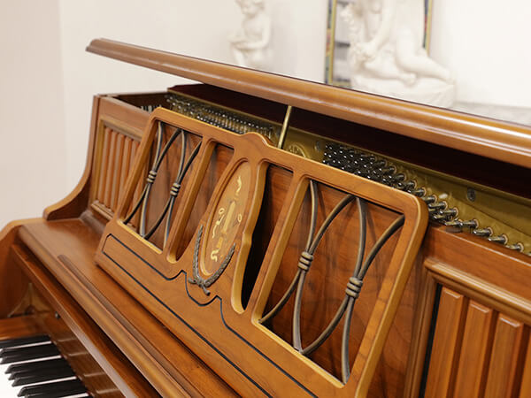 Music City – Tổng Kho Piano, Guitar, Organ | Dịch Vụ Giáo Dục Âm Nhạc
