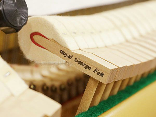 Music City – Tổng Kho Piano, Guitar, Organ | Dịch Vụ Giáo Dục Âm Nhạc
