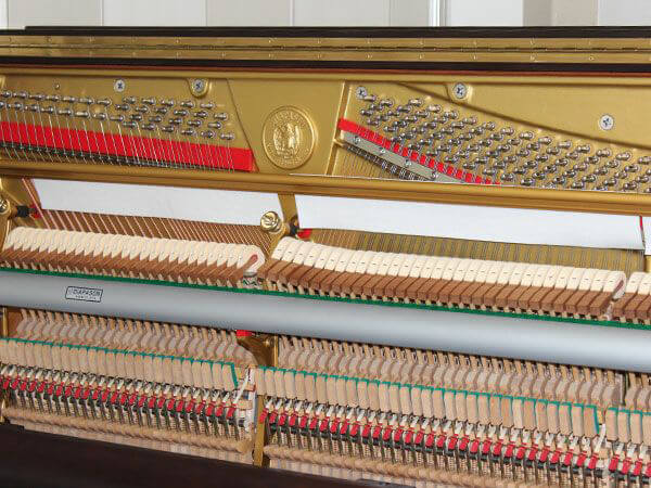 Music City – Tổng Kho Piano, Guitar, Organ | Dịch Vụ Giáo Dục Âm Nhạc