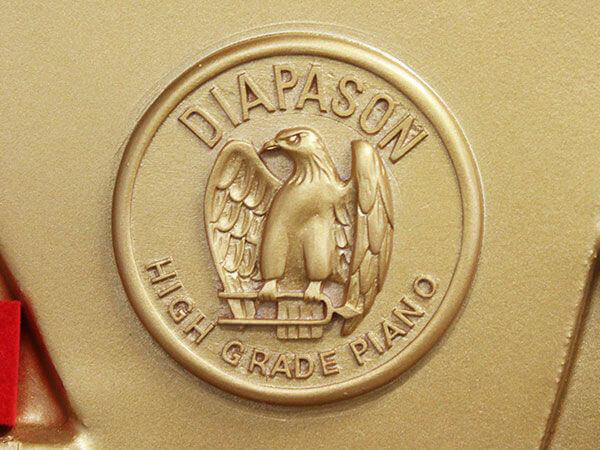 Music City – Tổng Kho Piano, Guitar, Organ | Dịch Vụ Giáo Dục Âm Nhạc