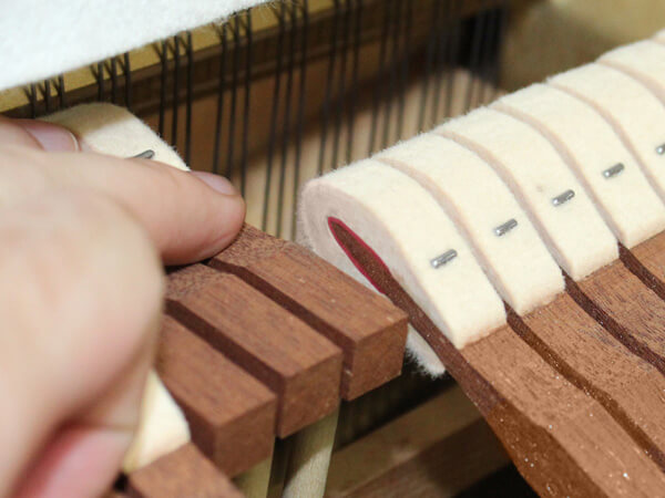 Music City – Tổng Kho Piano, Guitar, Organ | Dịch Vụ Giáo Dục Âm Nhạc