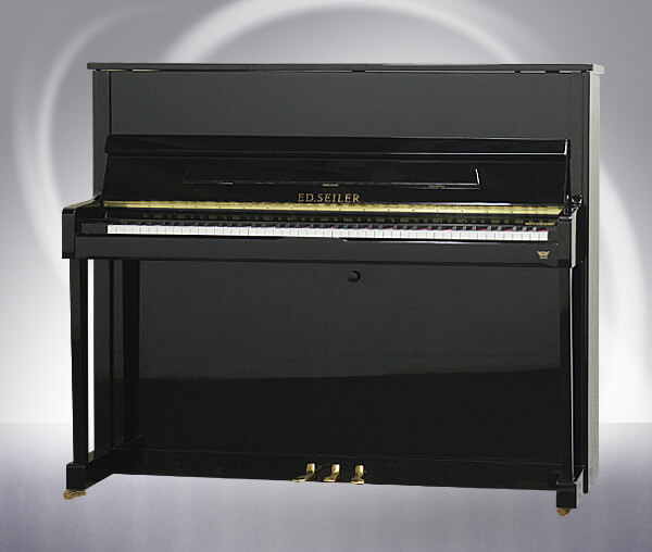 Music City – Tổng Kho Piano, Guitar, Organ | Dịch Vụ Giáo Dục Âm Nhạc