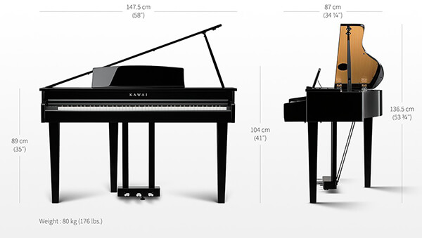 Music City – Tổng Kho Piano, Guitar, Organ | Dịch Vụ Giáo Dục Âm Nhạc
