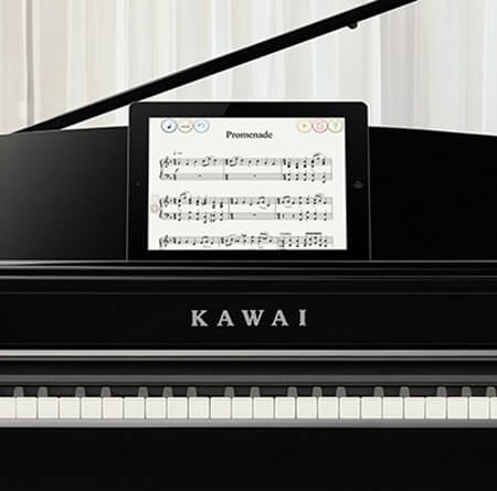 Music City – Tổng Kho Piano, Guitar, Organ | Dịch Vụ Giáo Dục Âm Nhạc