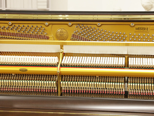 Music City – Tổng Kho Piano, Guitar, Organ | Dịch Vụ Giáo Dục Âm Nhạc