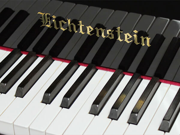 Music City – Tổng Kho Piano, Guitar, Organ | Dịch Vụ Giáo Dục Âm Nhạc