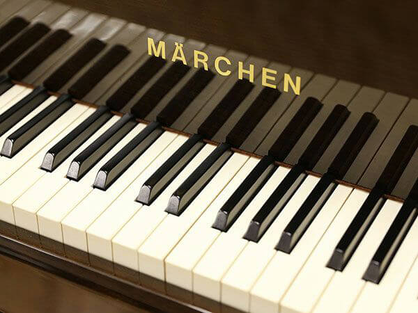 Music City – Tổng Kho Piano, Guitar, Organ | Dịch Vụ Giáo Dục Âm Nhạc