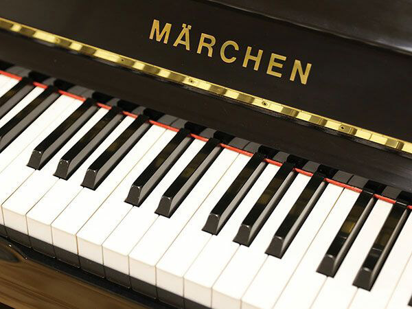 Music City – Tổng Kho Piano, Guitar, Organ | Dịch Vụ Giáo Dục Âm Nhạc