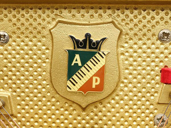Music City – Tổng Kho Piano, Guitar, Organ | Dịch Vụ Giáo Dục Âm Nhạc