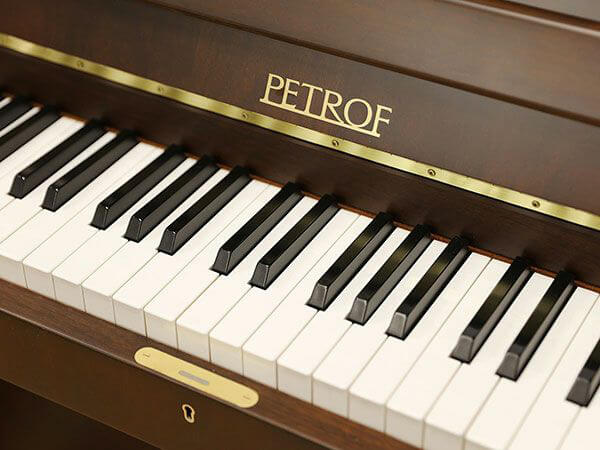Music City – Tổng Kho Piano, Guitar, Organ | Dịch Vụ Giáo Dục Âm Nhạc