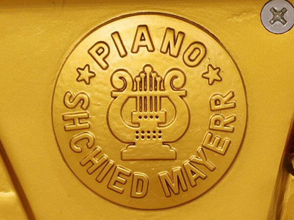 Music City – Tổng Kho Piano, Guitar, Organ | Dịch Vụ Giáo Dục Âm Nhạc