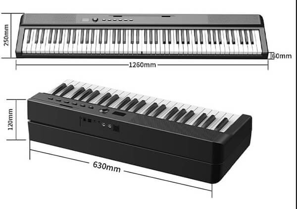 Music City – Tổng Kho Piano, Guitar, Organ | Dịch Vụ Giáo Dục Âm Nhạc