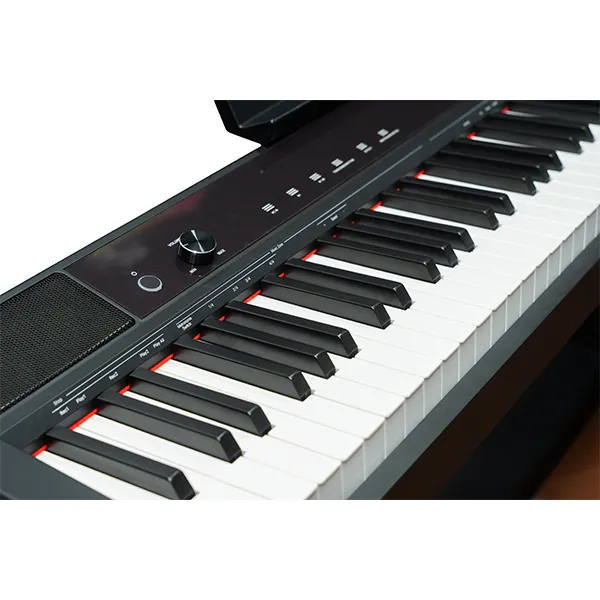 Music City – Tổng Kho Piano, Guitar, Organ | Dịch Vụ Giáo Dục Âm Nhạc