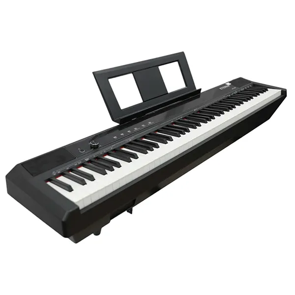 Music City – Tổng Kho Piano, Guitar, Organ | Dịch Vụ Giáo Dục Âm Nhạc