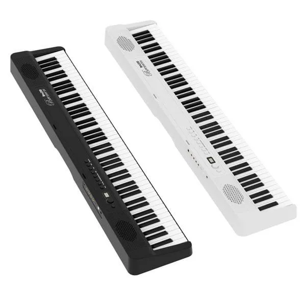 Music City – Tổng Kho Piano, Guitar, Organ | Dịch Vụ Giáo Dục Âm Nhạc