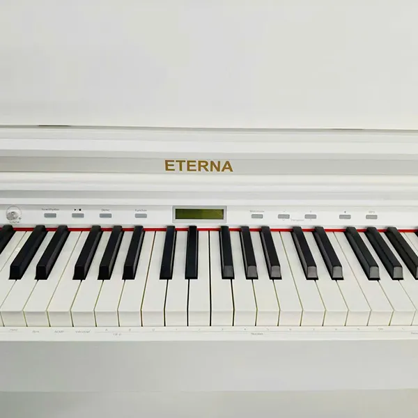 Music City – Tổng Kho Piano, Guitar, Organ | Dịch Vụ Giáo Dục Âm Nhạc