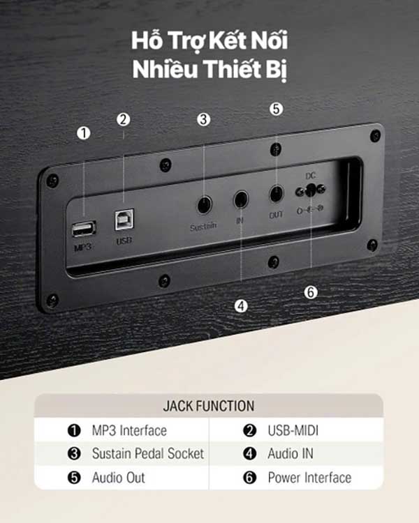 Music City – Tổng Kho Piano, Guitar, Organ | Dịch Vụ Giáo Dục Âm Nhạc