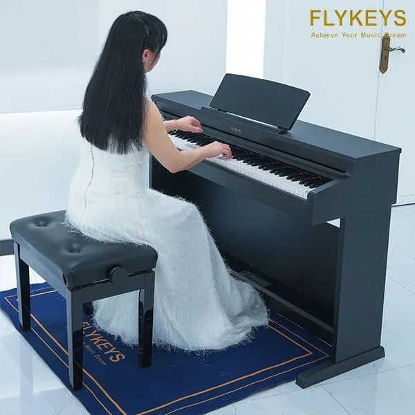 Music City – Tổng Kho Piano, Guitar, Organ | Dịch Vụ Giáo Dục Âm Nhạc