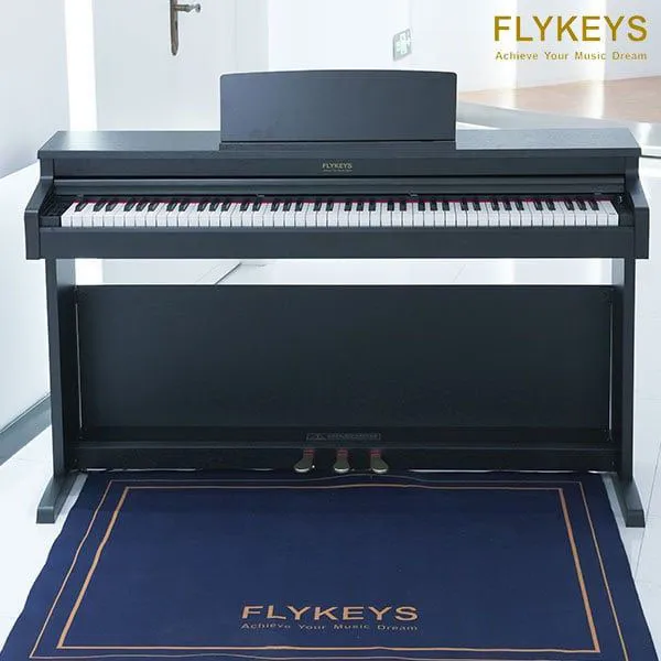 Music City – Tổng Kho Piano, Guitar, Organ | Dịch Vụ Giáo Dục Âm Nhạc
