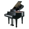 dan-piano-roland-rg7r-musiccity