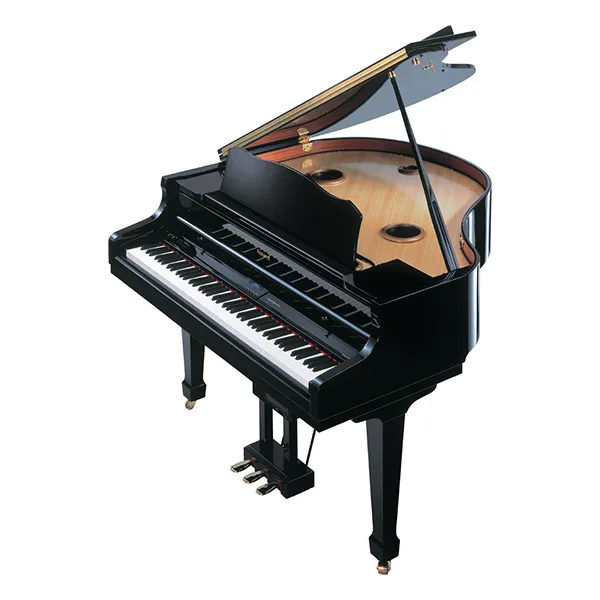 Music City – Tổng Kho Piano, Guitar, Organ | Dịch Vụ Giáo Dục Âm Nhạc