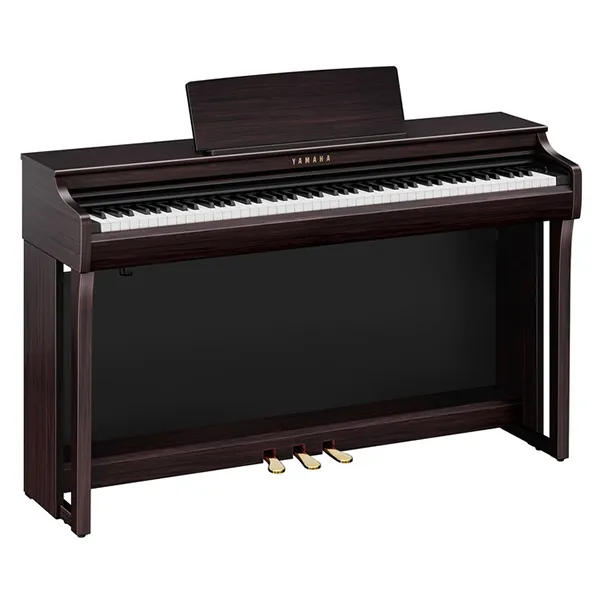 Music City – Tổng Kho Piano, Guitar, Organ | Dịch Vụ Giáo Dục Âm Nhạc
