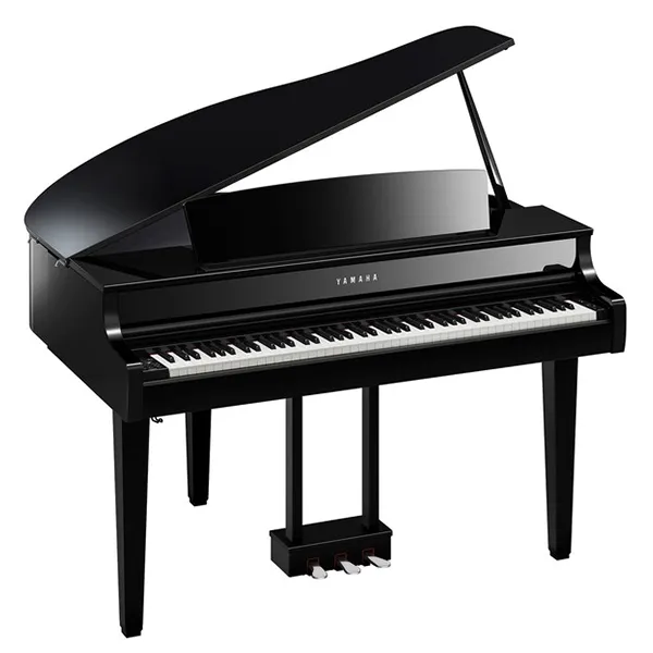 Music City – Tổng Kho Piano, Guitar, Organ | Dịch Vụ Giáo Dục Âm Nhạc